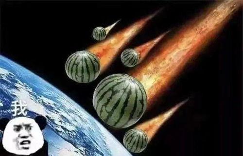 中午吃瓜文案句子,轻松一读，笑出声来