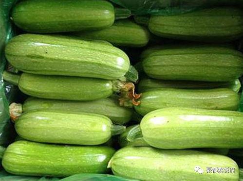 发烧可以吃茭瓜吗,发烧期间适宜食用茭瓜的饮食建议