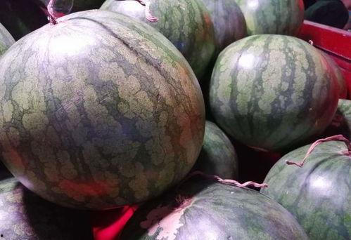 稀瓜怎么吃,探索稀瓜的多重美味吃法