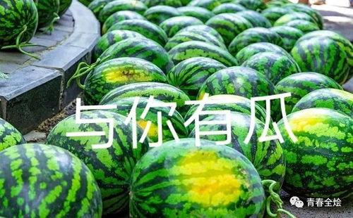 吃瓜高二学生,高二学生的青春食粮