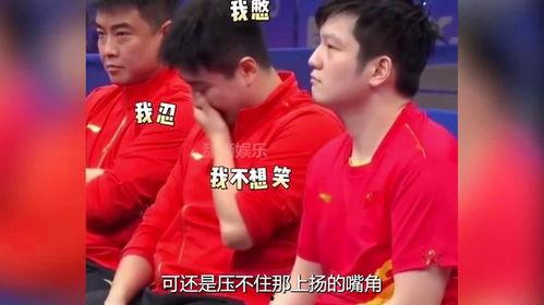 国乒吃瓜,揭秘赛场背后的“吃瓜”故事