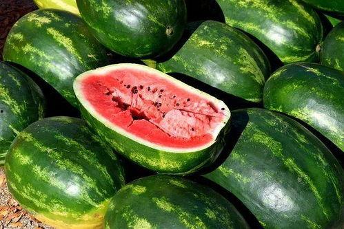 吃瓜成果视频大全,笑料百出，揭秘娱乐圈幕后故事